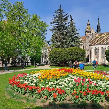 Lux 114 Kosice